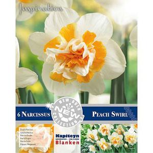 Narcissus 'Peach Swirl' - (6 Bulbs)