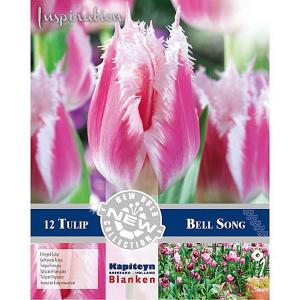 Tulip Fringed Bell Song - (12 Bulbs)