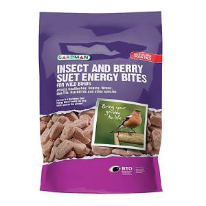 Insect and Berry Suet Energy Bites