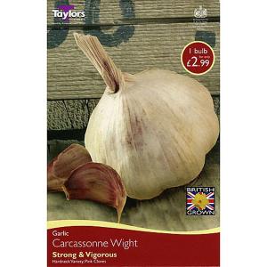 Garlic Carcassonne Wight (1 Bulb)