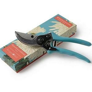 Burgon & Ball RHS Chrysanthemum Secateurs