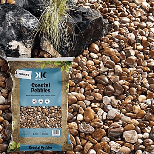 Coastal Pebbles Large Bag