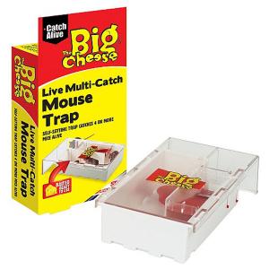 The Big Cheese Multi-Catch Mouse Trap