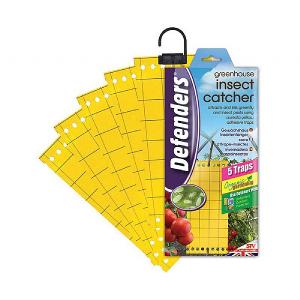 STV Defenders Greenhouse Insect Catcher 5 Traps