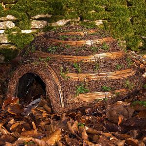 Wildlife World Igloo Hedgehog House