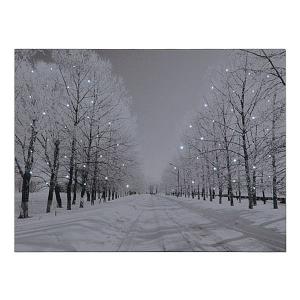 Snowy Avenue Pre Lit LED Canvas 40x30cm