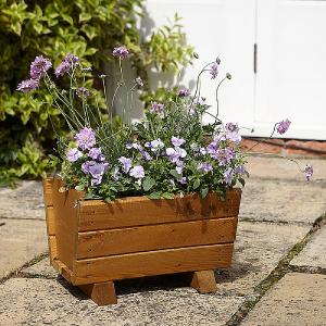 Tom Chambers Wisley Trough Planter (FSC)