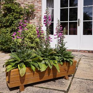 Tom Chambers Rosemoor Trough Planter (FSC)