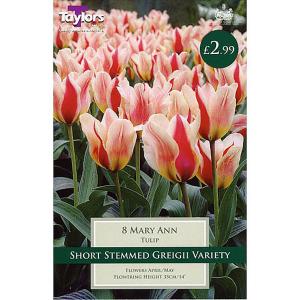 Tulip 'Mary Ann' (8 Bulbs)