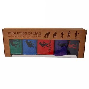 Evolution of Man 5 Days Socks
