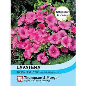 Thompson & Morgan Lavatera Twins Hot Pink