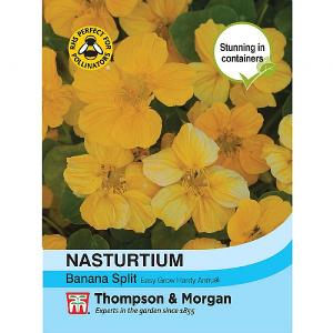 Thompson & Morgan Nasturtium Banana Split