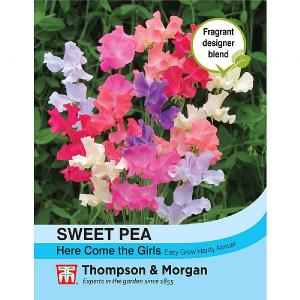 Thompson & Morgan Sweet Pea Here Come The Girls