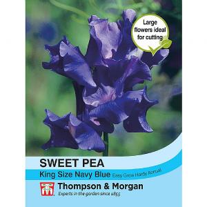 Thompson & Morgan Sweet Pea King Size Navy Blue