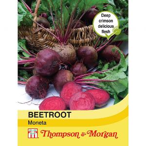 Thompson & Morgan Beetroot Moneta