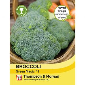 Thompson & Morgan Broccoli Green Magic F1 Hybrid