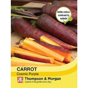 Thompson & Morgan Carrot Cosmic Purple Seeds