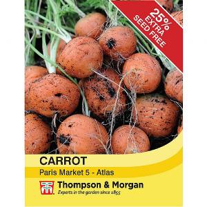Thompson & Morgan Carrot Paris Market - Atlas Seeds