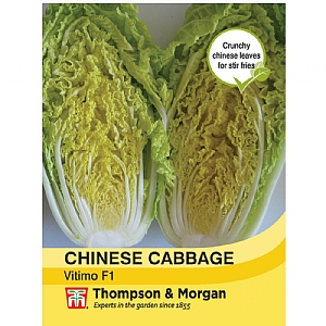 Thompson & Morgan Chinese Cabbage Vitimo Seeds