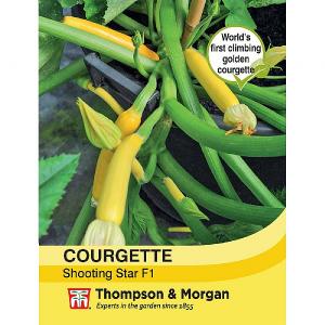 Thompson & Morgan Courgette Shooting Star