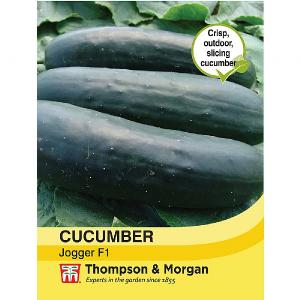 Thompson & Morgan Cucumber Jogger F1 Hybrid