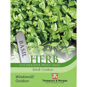 Thompson & Morgan Herb Basil British Outdoor Seeds