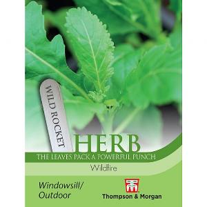 Thompson & Morgan Herb Wild Rocket Wildfire Seeds