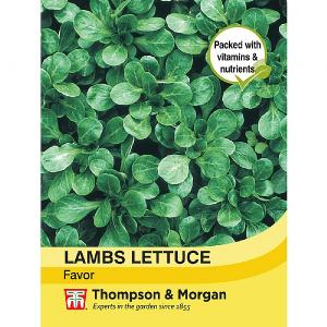 Thompson & Morgan Lambs Lettuce Favor