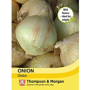 Thompson & Morgan Onion Globo Seeds