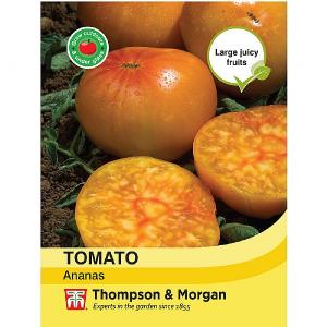 Thompson & Morgan Tomato Ananas Seeds