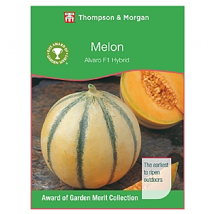 Thompson & Morgan Award of Garden Merit Melon Alvaro F1 Hybrid