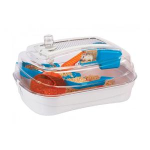 Rosewood Abode - Blue & Orange