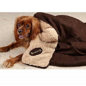 Scruffs Snuggle Blanket - Chocolate