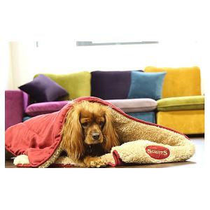 Scruffs Snuggle Blanket - Red