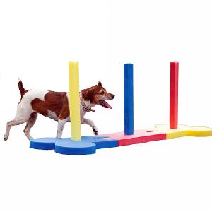 Rosewood Small Dog Agility Slalom