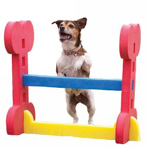 Rosewood Small Dog Agility Hurdle