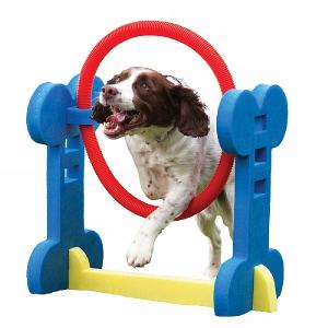 Rosewood Small Dog Agility Hoop