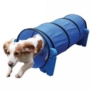 Rosewood Small Dog Agility Tunnel