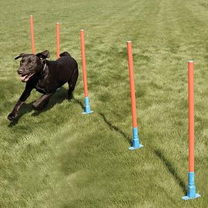 Rosewood Agility Dog Slalom