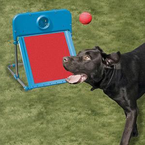 Pet Flyball Set