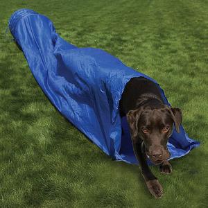 Rosewood Agility Dog Tunnel