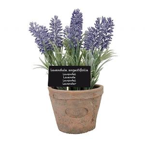 Fallen Fruits Artificial Lavender Aged Terracotta Pot - Large
