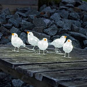 Acrylic LED Birds (Set of 5)