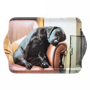 Country Matters Sleeping Lab Trinket Tray