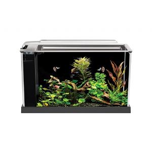 Fluval Spec 19L Aquarium (Various Colours)