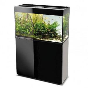 Aquael Glossy 80 Aquarium and Cabinet