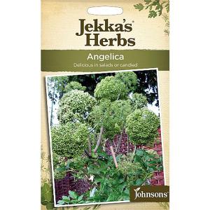 Jekka's Herbs Angelica