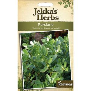 Jekka's Herbs Purslane