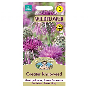 Mr Fothergills Wild Flower Greater Knapweed