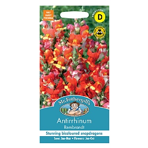 Mr Fothergills Antirrhinum Rembrandt F1 Seeds